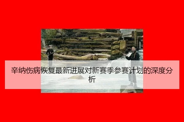 辛纳伤病恢复最新进展对新赛季参赛计划的深度分析